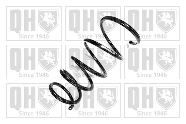 Suspension Spring (QCS5445)