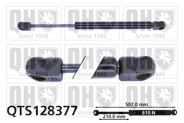 Gas Spring, boot/cargo area (QTS128377)
