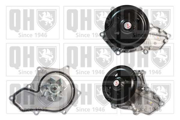 Water Pump, engine cooling (QCP3670)