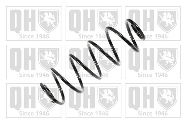 Suspension Spring (QCS6973)