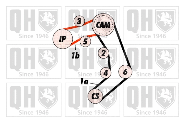 Timing Belt Kit (QBK443)
