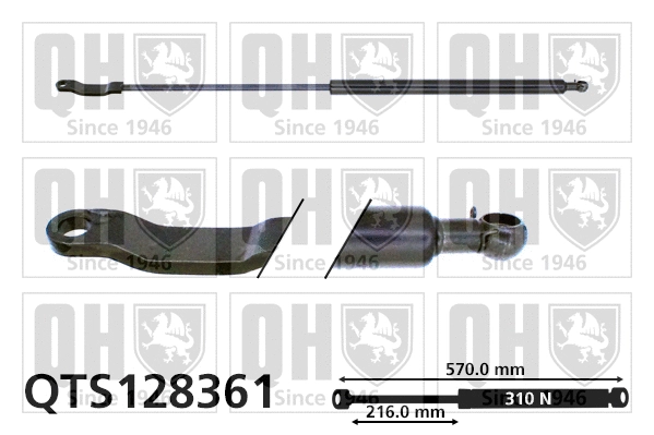 Gas Spring, boot/cargo area (QTS128361)