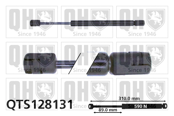 Gas Spring, boot/cargo area (QTS128131)