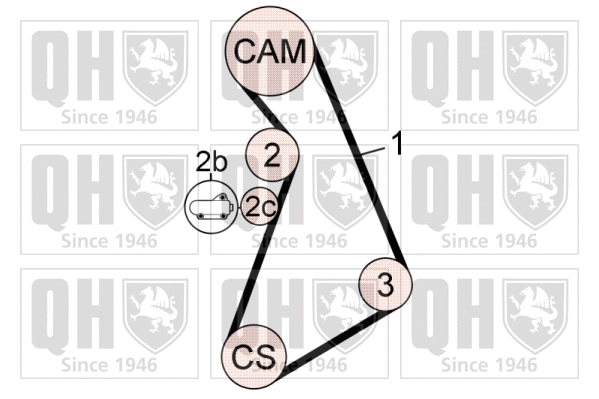 Timing Belt Kit (QBK785)