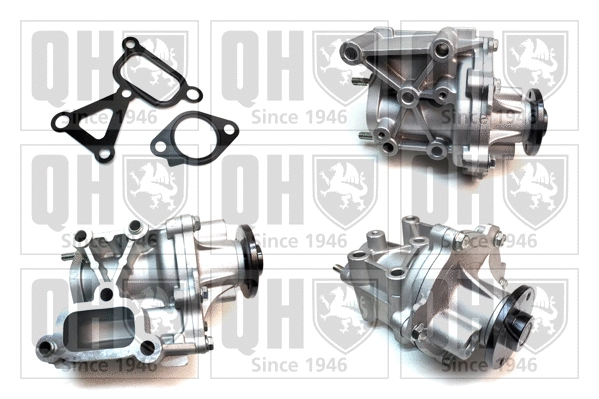 Water Pump, engine cooling (QCP3818BH)