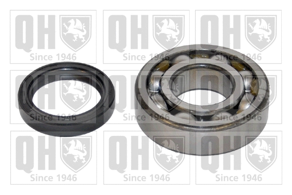 Wheel Bearing Kit (QWB193C)