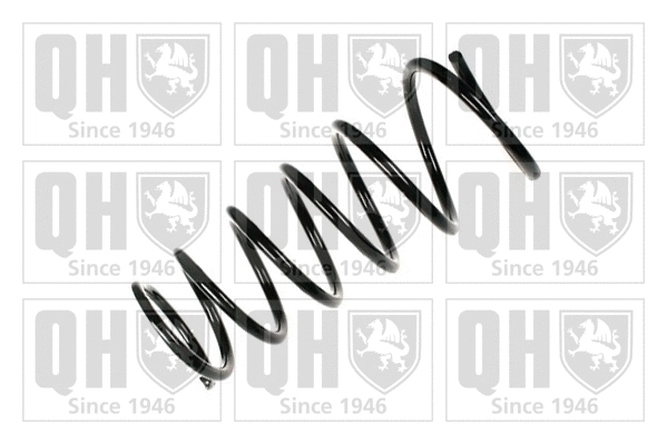 Suspension Spring (QCS6459)
