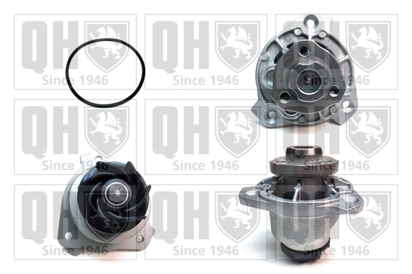 Water Pump, engine cooling (QCP3369)