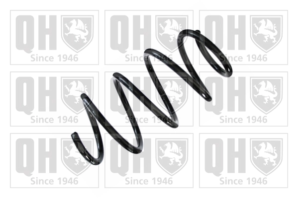 Suspension Spring (QCS8348)