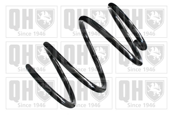 Suspension Spring (QCS8613)