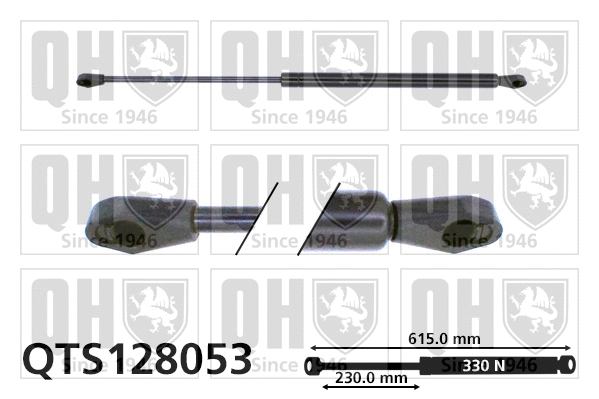 Gas Spring, boot/cargo area (QTS128053)