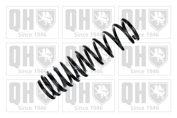 Suspension Spring (QCS6673)