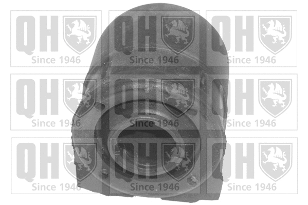 Mounting, control/trailing arm (EMS8085)