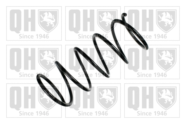 Suspension Spring (QCS6935)