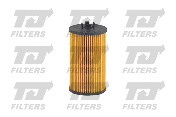 Oil Filter (QFL0256)