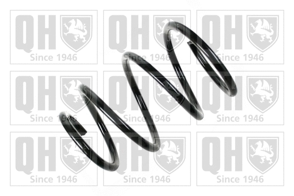 Suspension Spring (QCS6968)