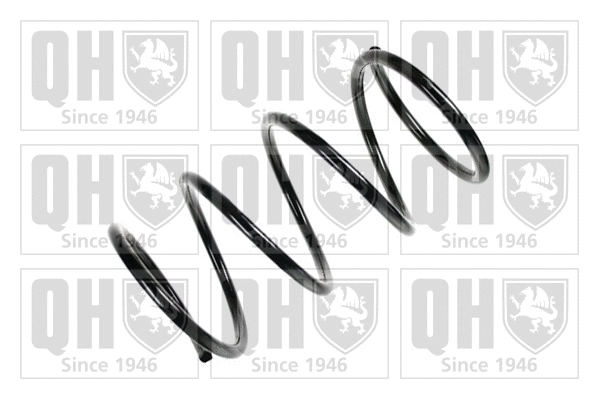 Suspension Spring (QCS7873)