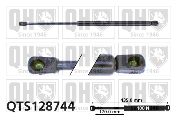 Gas Spring, rear window (QTS128744)