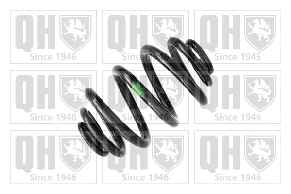 Suspension Spring (QCS7028)