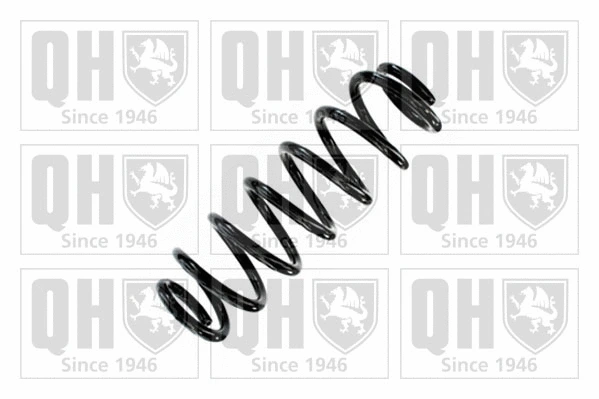 Suspension Spring (QCS9111)