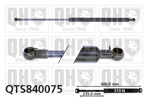 Gas Spring, boot/cargo area (QTS840075)