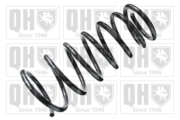 Suspension Spring (QCS7838)