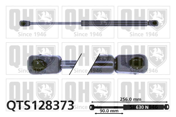 Gas Spring, boot/cargo area (QTS128373)