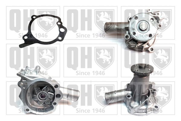 Water Pump, engine cooling (QCP2509)