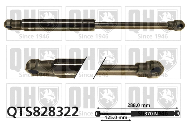Gas Spring, boot/cargo area (QTS828322)