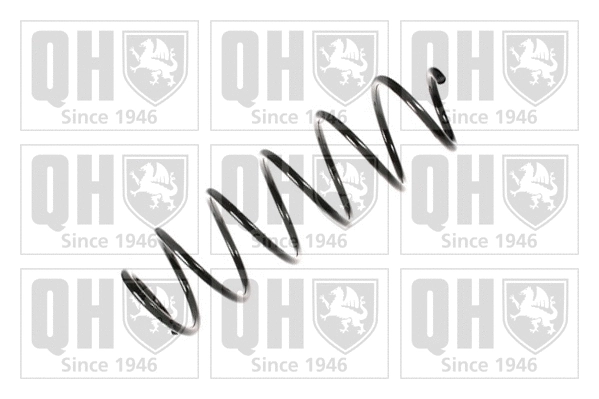 Suspension Spring (QCS7309)