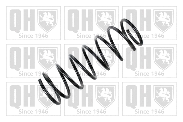 Suspension Spring (QCS7187)