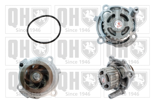 Water Pump, engine cooling (QCP3592)