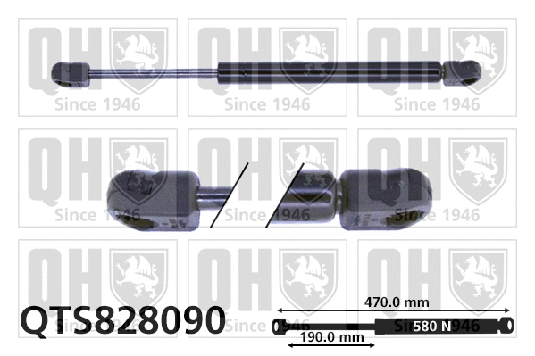 Gas Spring, boot/cargo area (QTS828090)