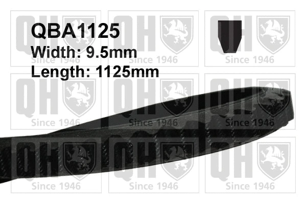 V-Belt (QBA1125)