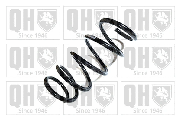 Suspension Spring (QCS8865)