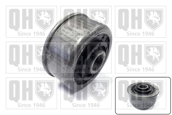 Mounting, control/trailing arm (EMS8678)