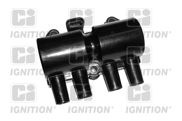Ignition Coil (XIC8204)