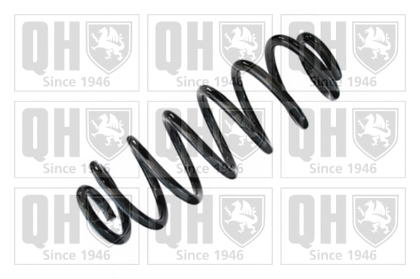 Suspension Spring (QCS6139)