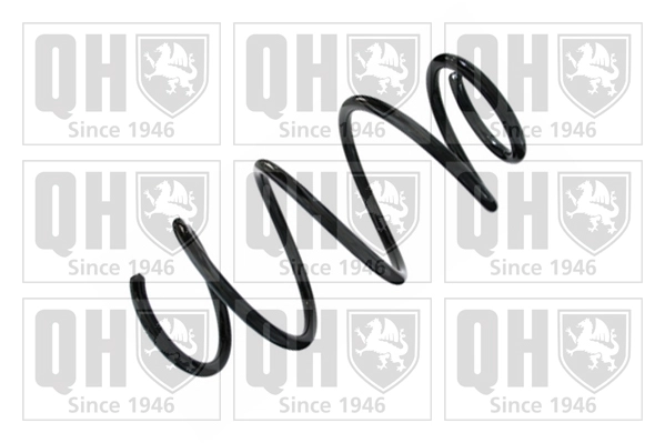 Suspension Spring (QCS8462)