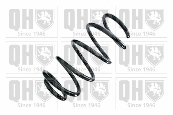 Suspension Spring (QCS8953)