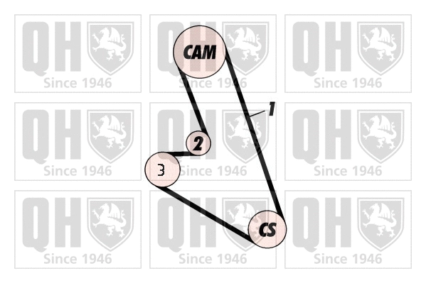 Timing Belt Kit (QBK359)