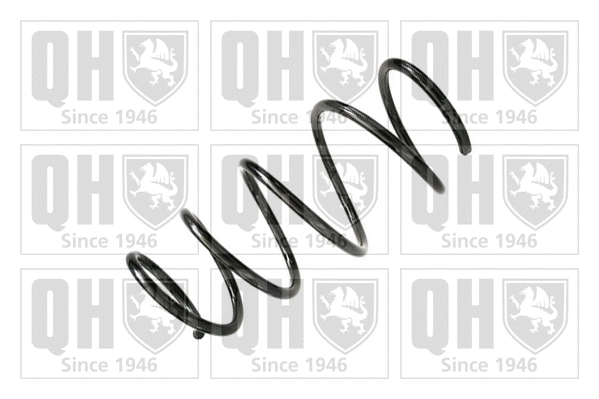 Suspension Spring (QCS8080)