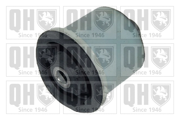 Mounting, control/trailing arm (EMS8522)