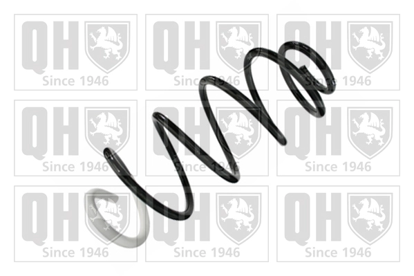 Suspension Spring (QCS8472)