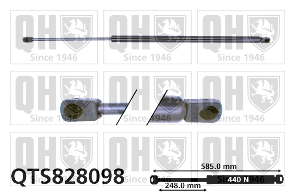 Gas Spring, boot/cargo area (QTS828098)