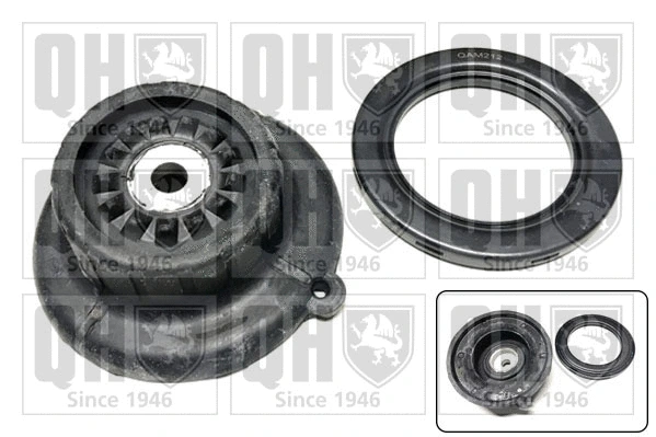 Repair Kit, suspension strut support mount (EMA6097)