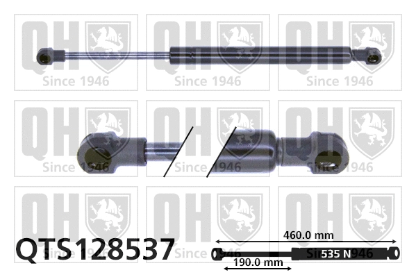 Gas Spring, bonnet (QTS128537)