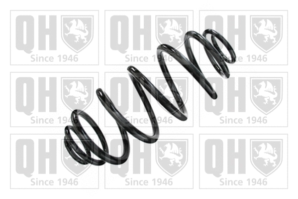 Suspension Spring (QCS6455)