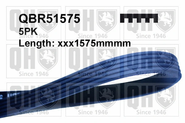 V-Ribbed Belt (QBR51575)