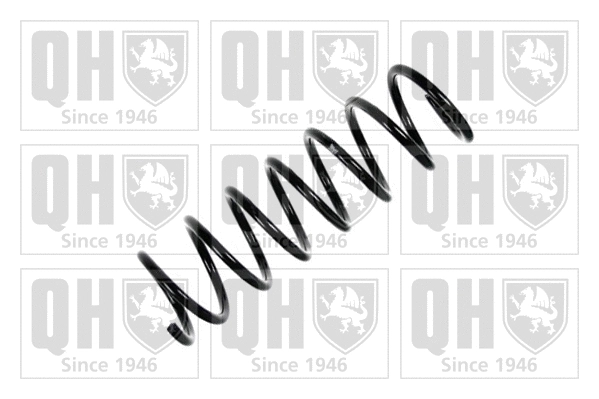 Suspension Spring (QCS6145)